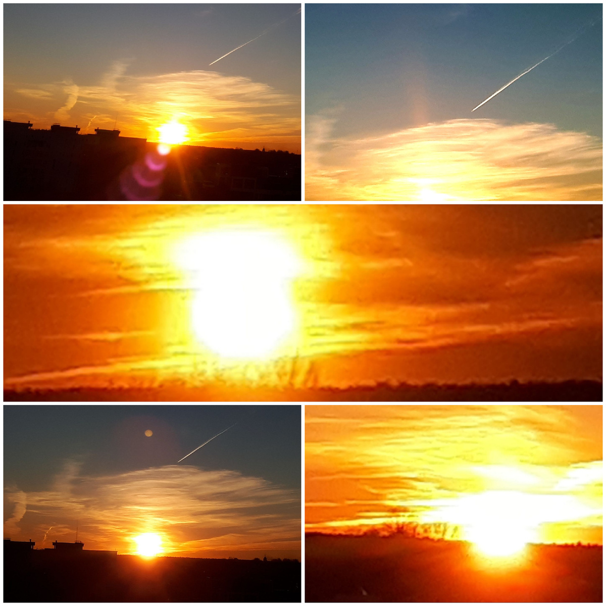 Коллаж автора 22.03.2026г.