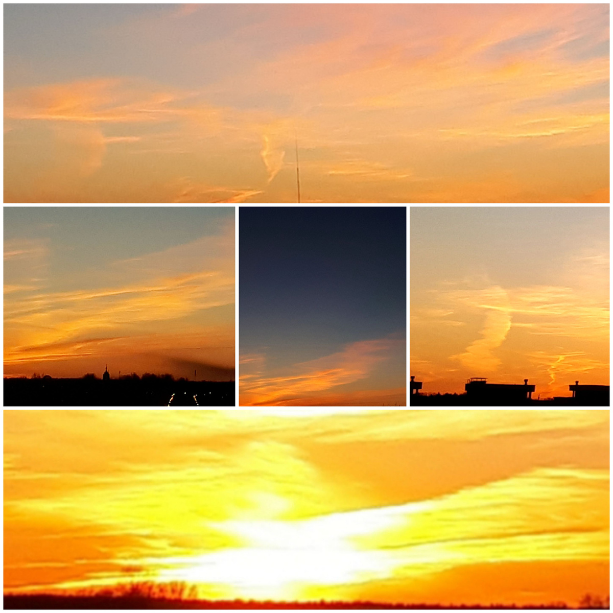 Коллаж автора 22.03.2026г.