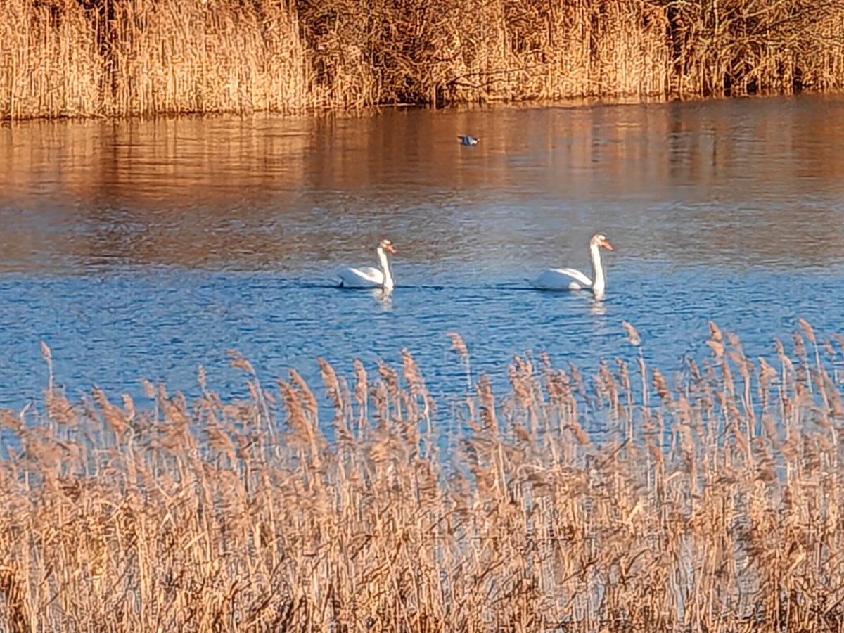На карьерах лёд полностью растаял