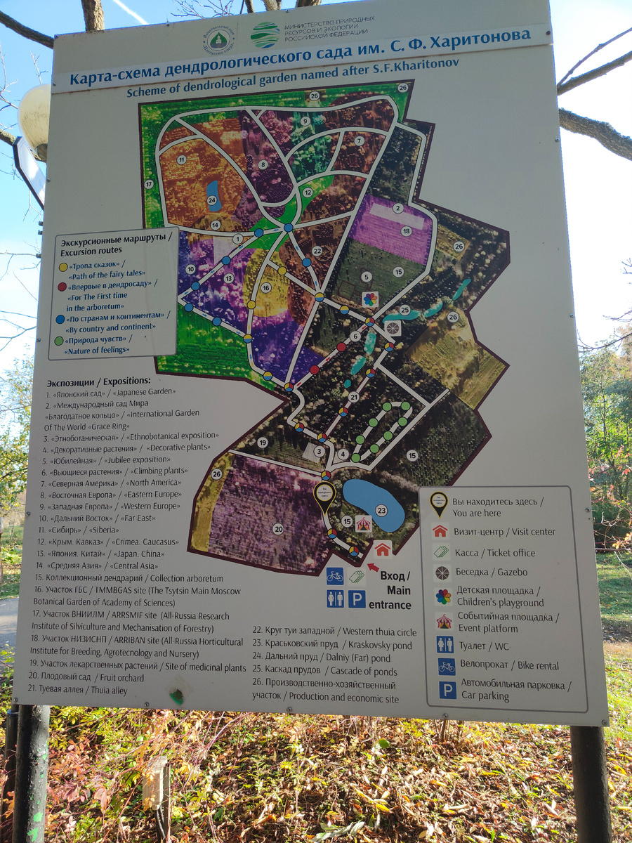 Фотографию, чтобы не заблудиться. 