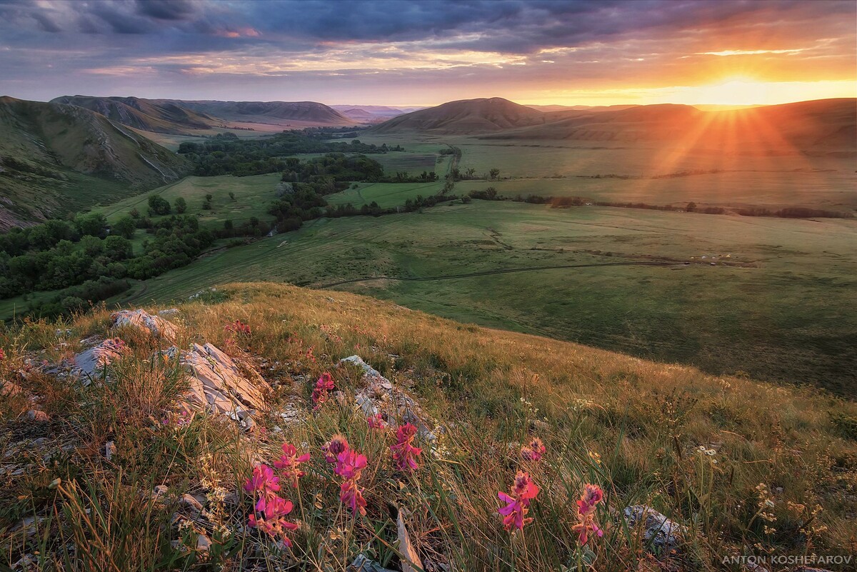 Изображение взято из свободного доступа в сети интернет.