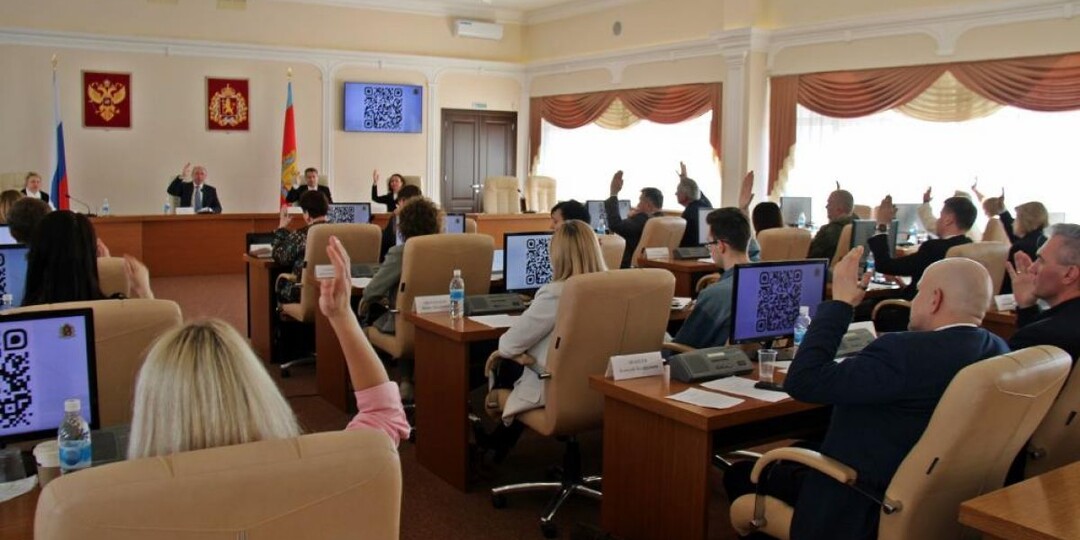 Общественная палата Владимирской области обновилась, избрала руководство и комиссии