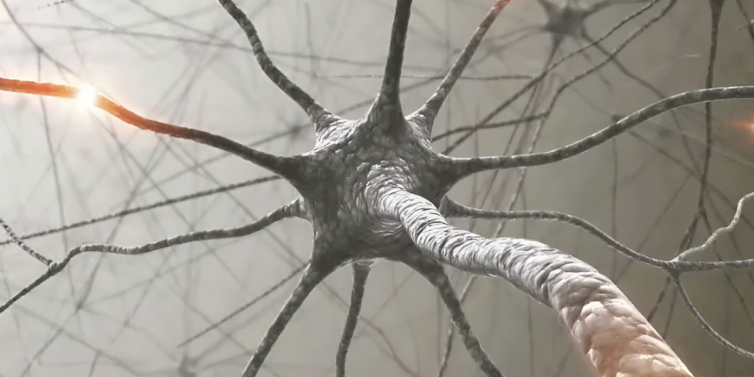 Искусственный нейрон впервые «подружили» с живыми клетками