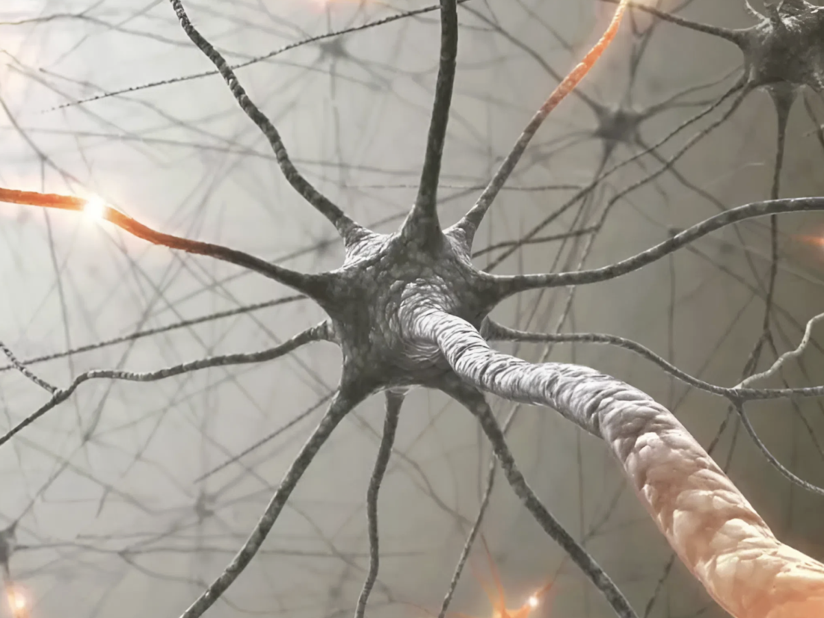    Искусственный нейрон впервые «подружили» с живыми клетками