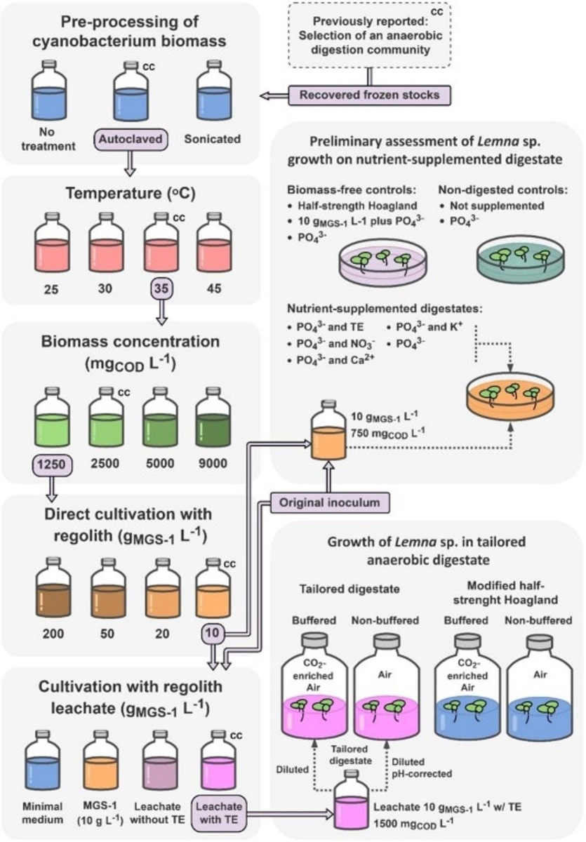    Графический экстракт экспериментов