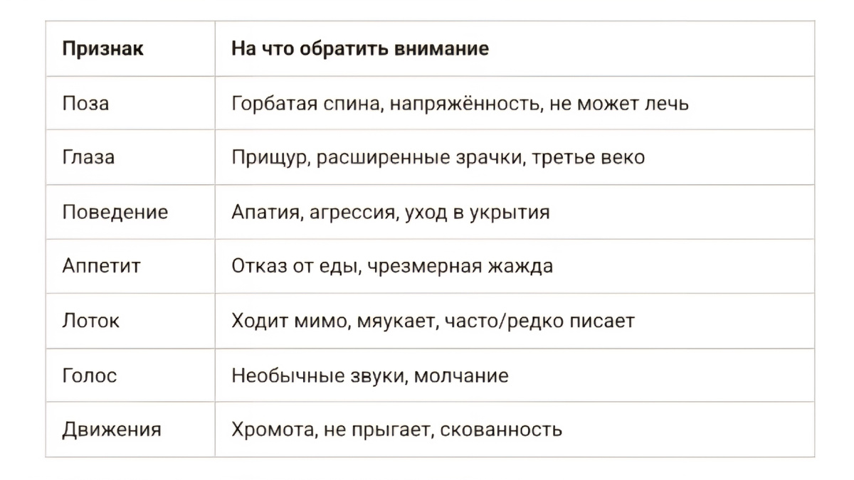 Сохраните таблицу. Просто на всякий случай.