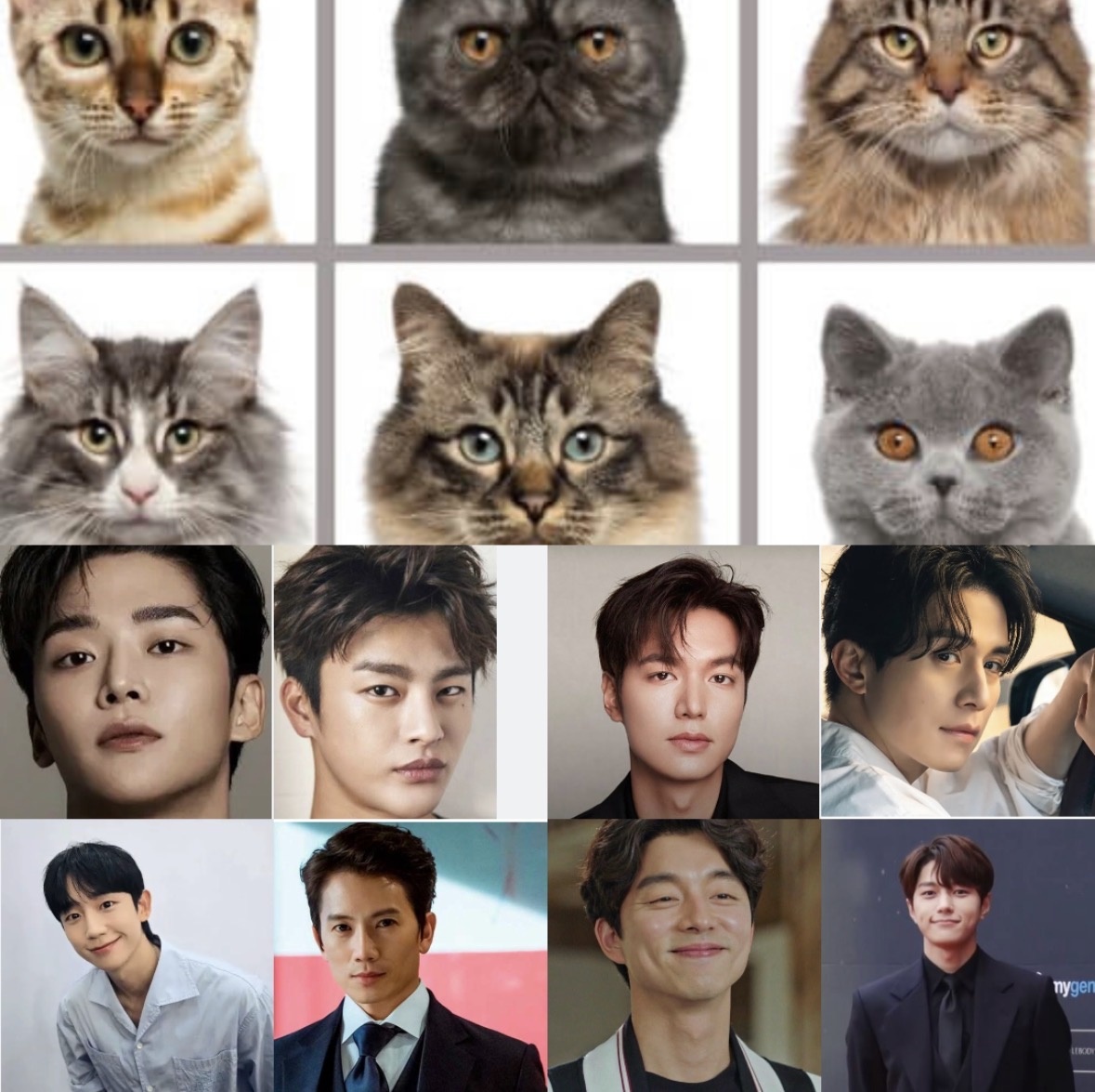 Коллаж создан мной, фото из открытого доступа