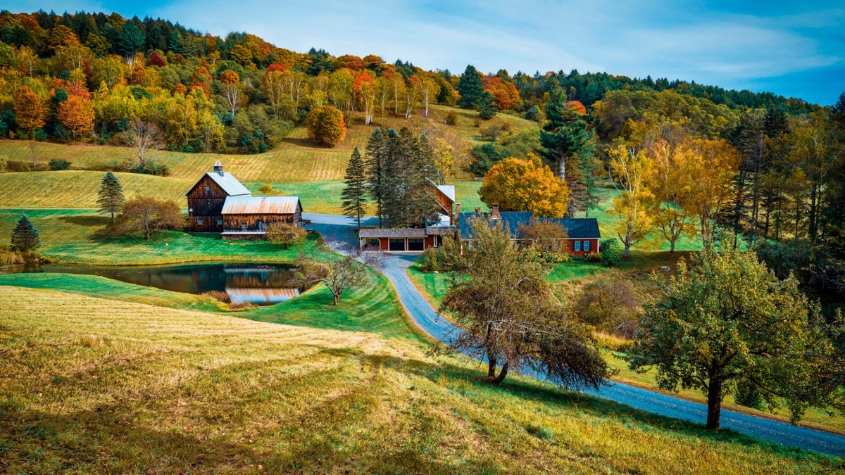 Источник vestnikapk.ru