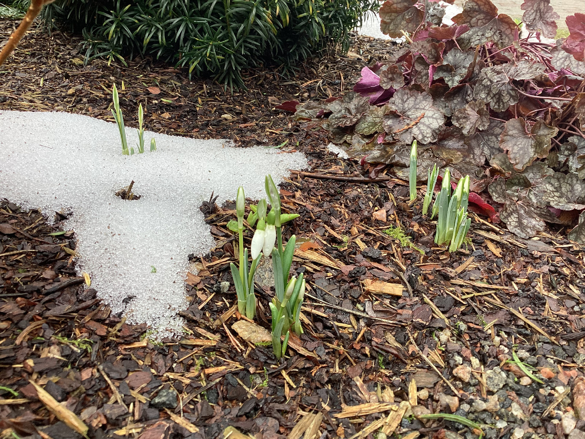 28 февраля 2026 года