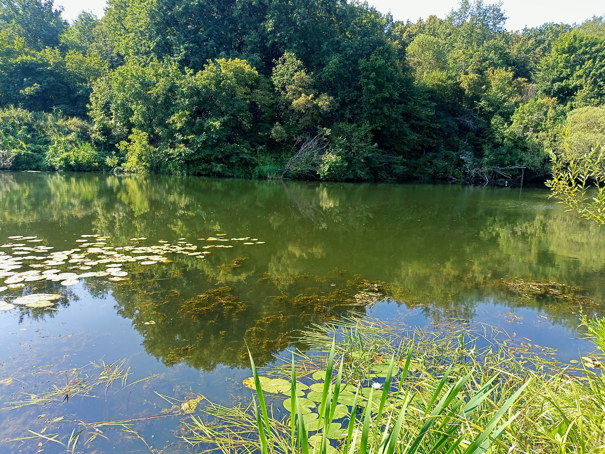 Карасиная тропа проходит здесь