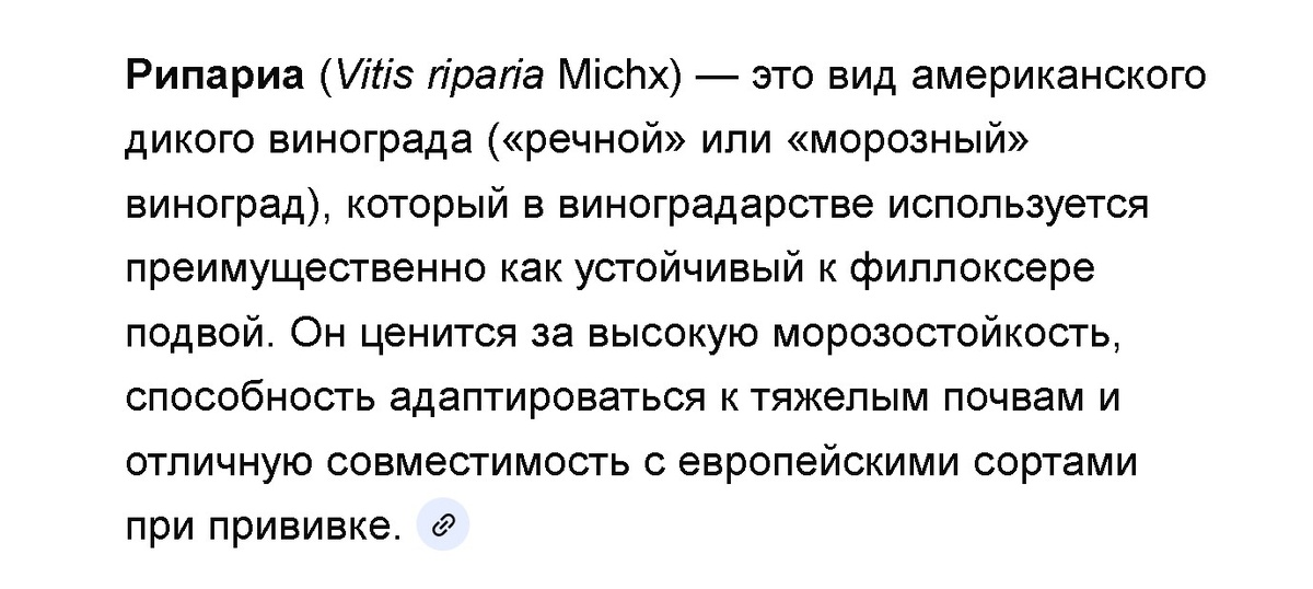 Скриншот определения 