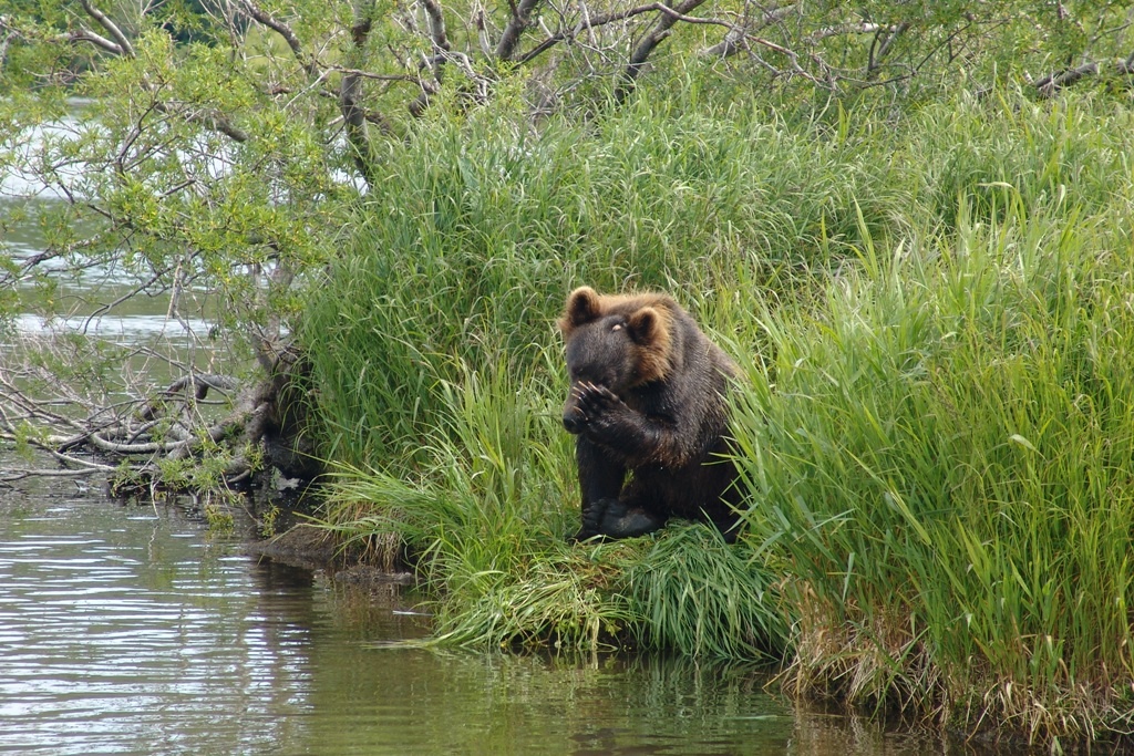 Источник: из архива Google, автор неизвестен. Курильские острова
