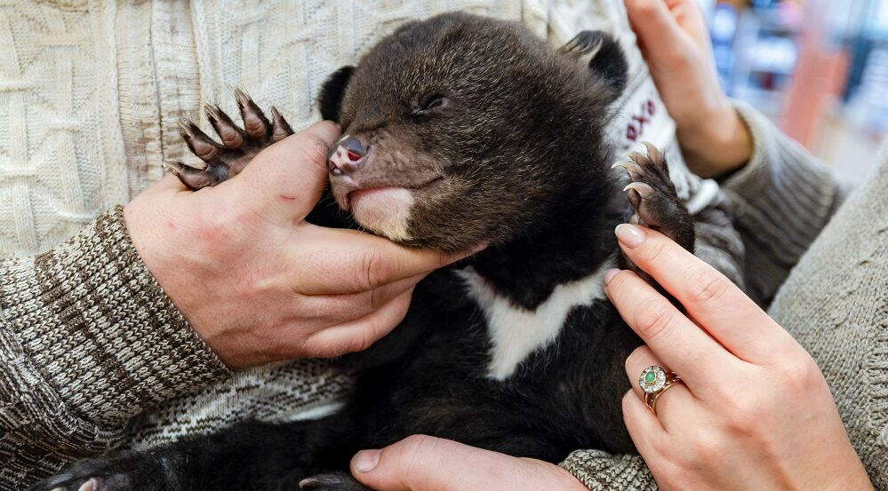 Фото: Юрий Смитюк/ТАСС
