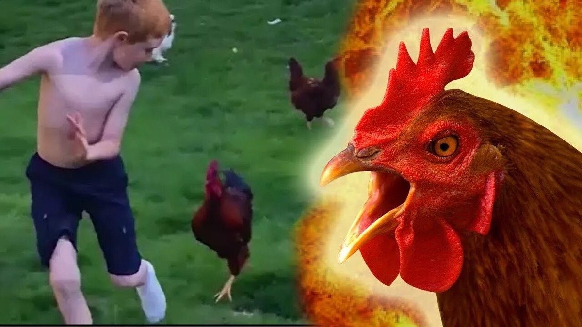 Изображение из открытого источника интернета