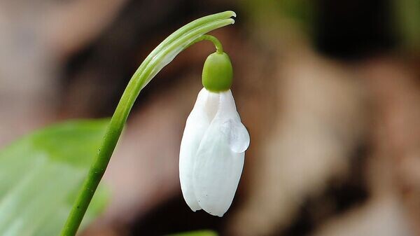    © Sputnik / Мария Девахина