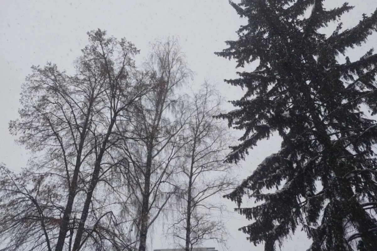    Синоптики прогнозируют похолодание в начале апреля