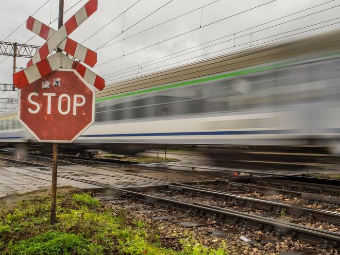 Обложка © Shutterstock / FOTODOM / Nowaczyk