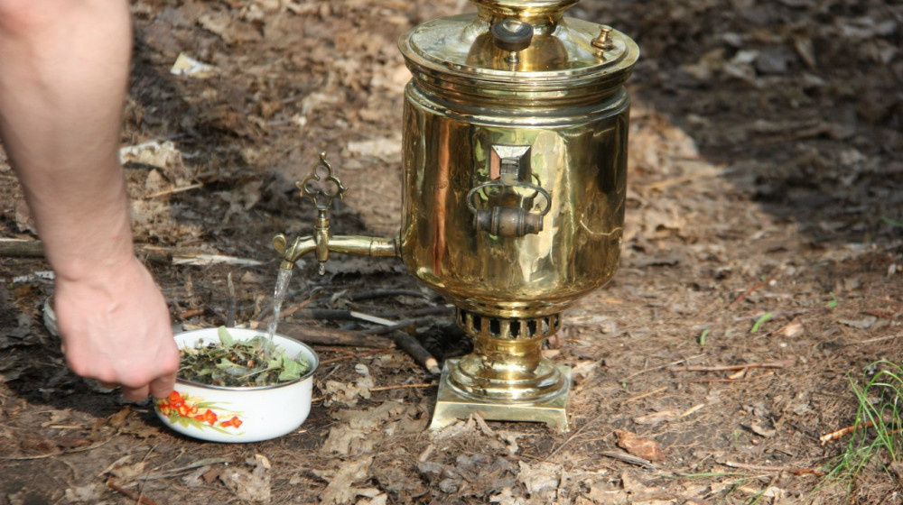    Секрет ароматного чая из самовара на сосновых шишках