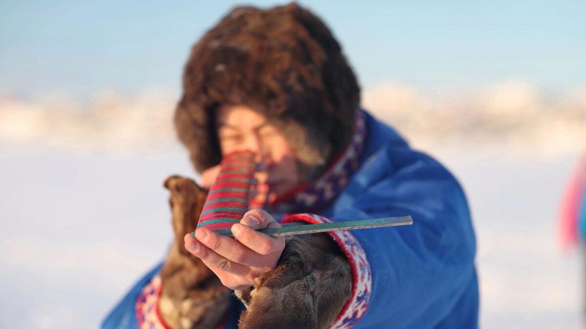    Фото: Андрей Ткачев / «Ямал-Медиа»