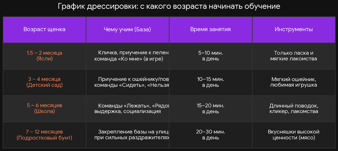 Дрессировка собак в домашних условиях с нуля: пошаговое руководство для начинающих