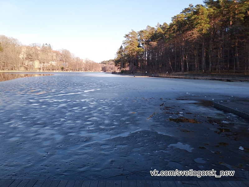 Светлогорск, озеро Тихое, 22.03.2026