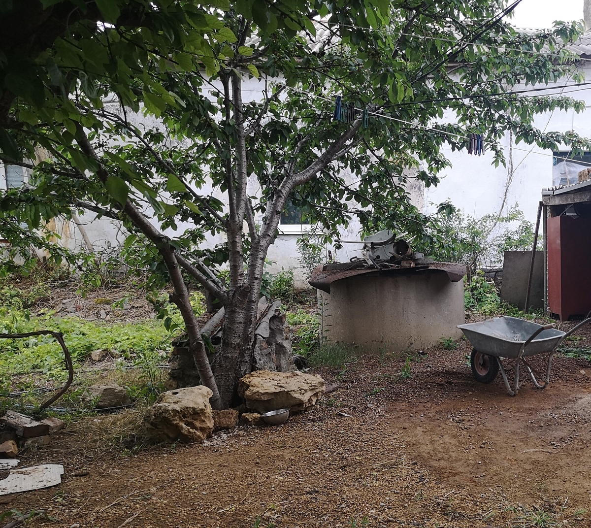 Участок ещё общего двора после возвращения