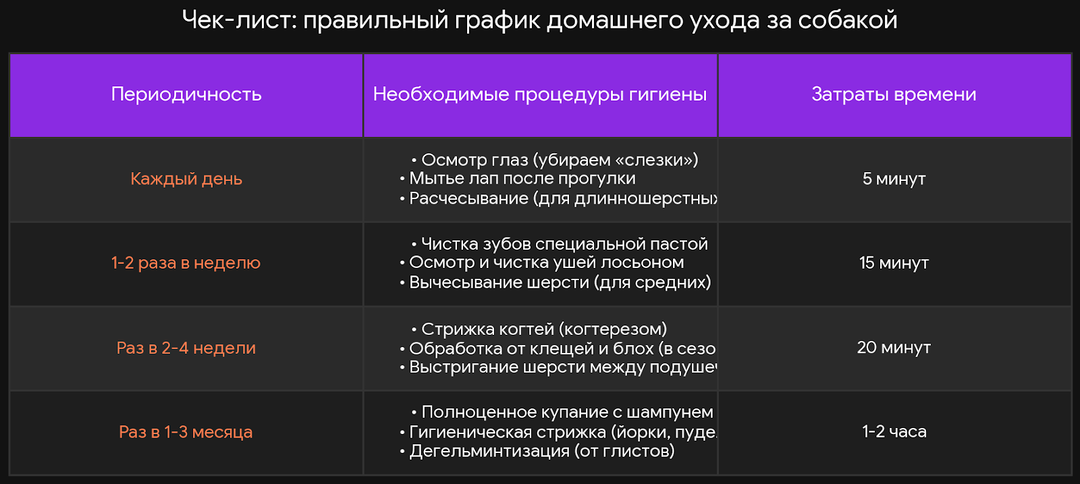 Домашний уход за собакой: как стричь когти, чистить уши и ухаживать за шерстью (Экономим на грумере)