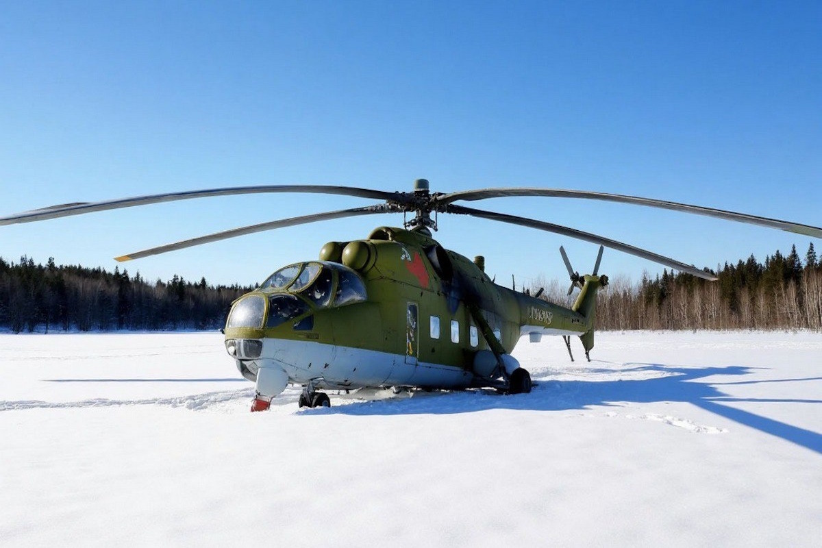   Фото: коллаж RuNews24.ru
