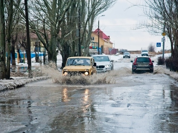     © Фото: ИД «Волгоградская правда» / архив