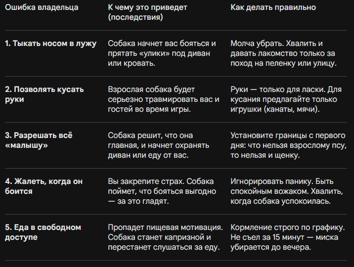 📊 Таблица: 5 критических ошибок в воспитании щенка
