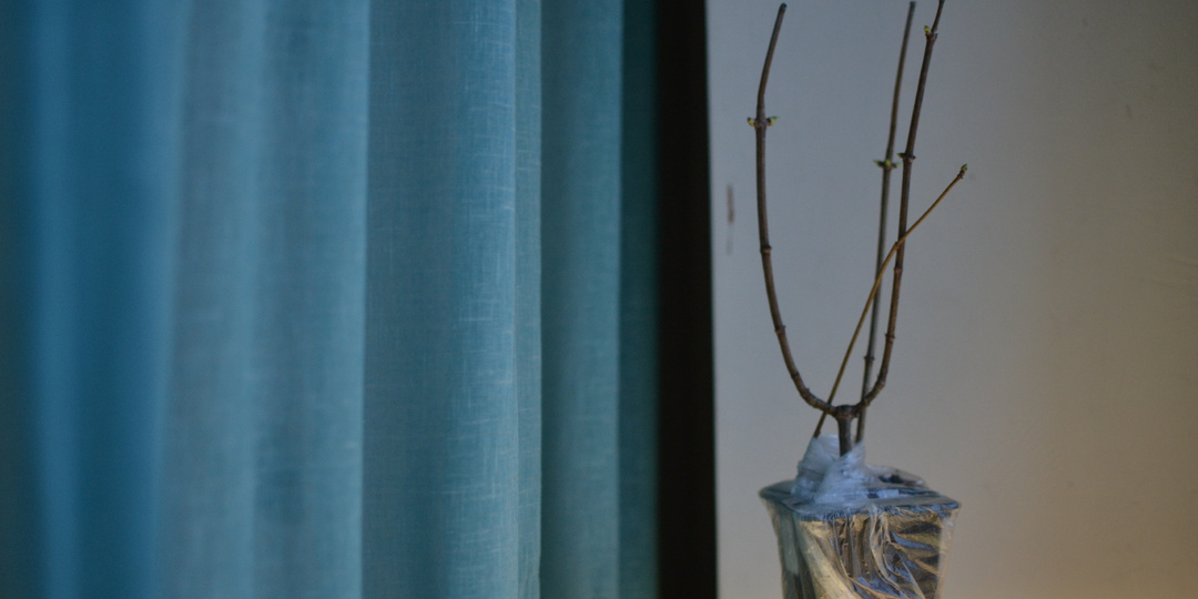 Как меня удивила гортензия с ВБ