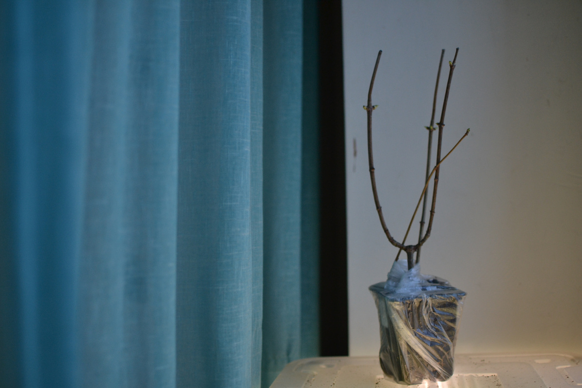  Новая Kyushu только из коробки