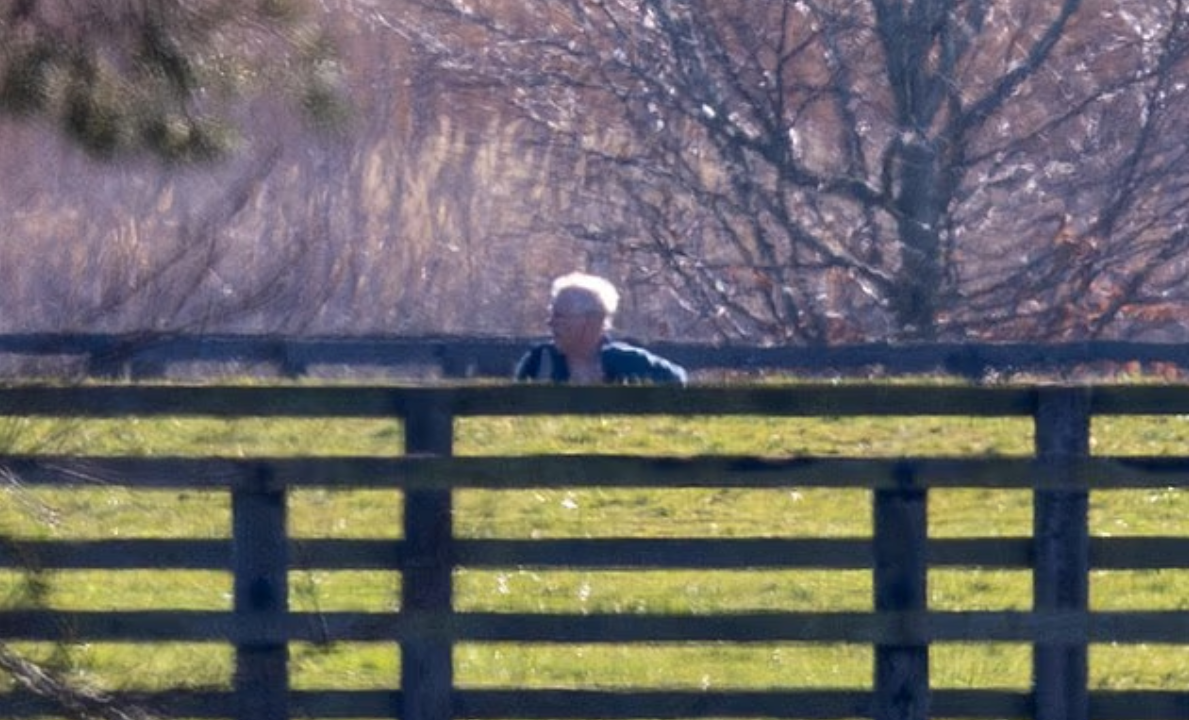 Первое фото принца Эндрю, выгуливающего собак с момента его ареста