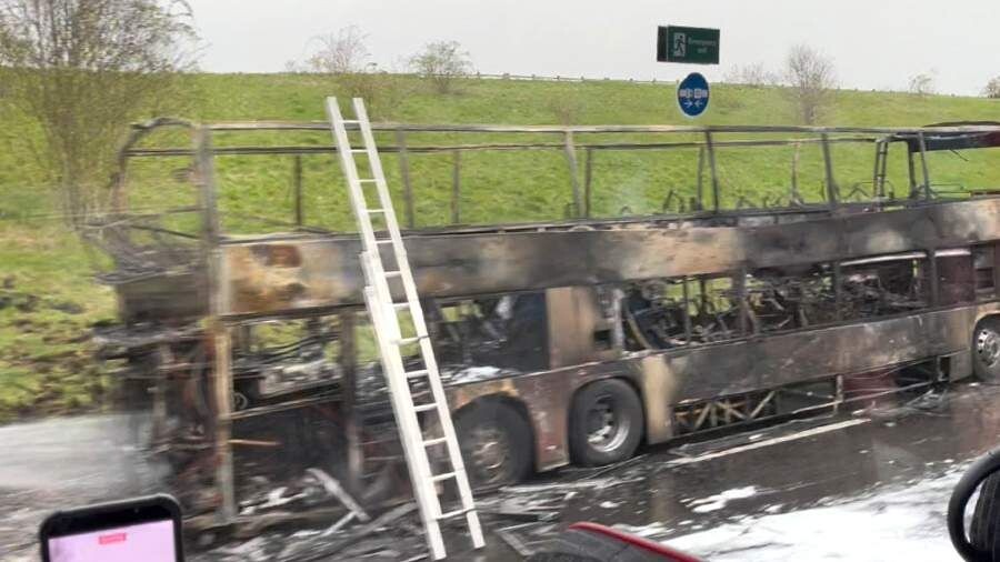     / Источник: x.com