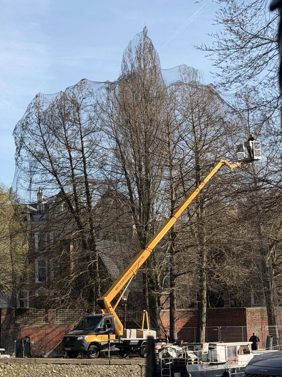 Источник: https://t.me/denissexy/11290