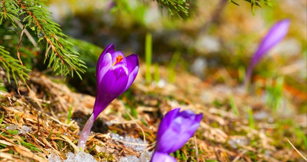 Гороскоп на неделю с 23 по 29 марта