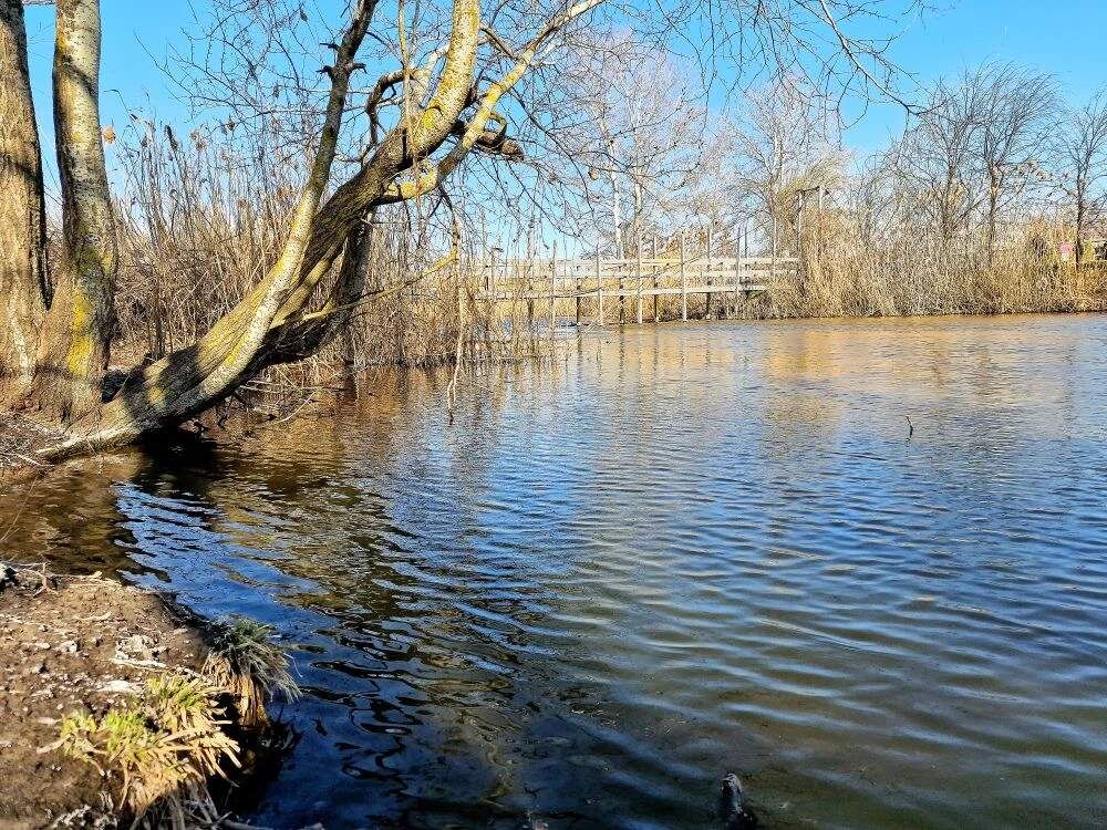    Фото: Е. Богачева. Галина Ященко