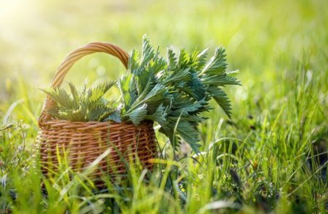 Фото из пинтереста.