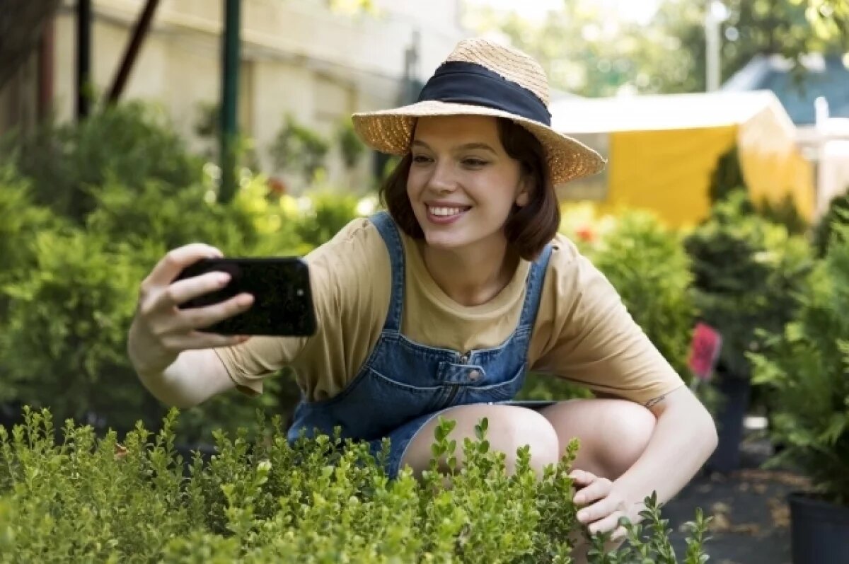    Клименко сравнил отключение мобильного интернета с лишением воздуха