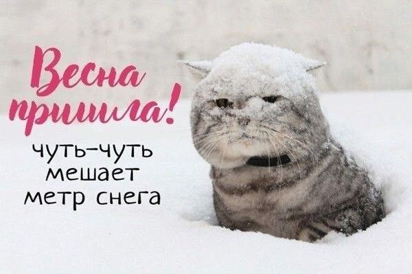 Картинка из интернета