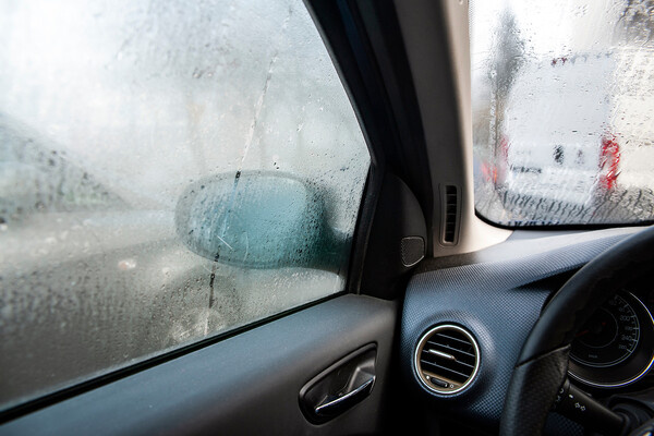 dies-irae/Shutterstock/FOTODOM   📷