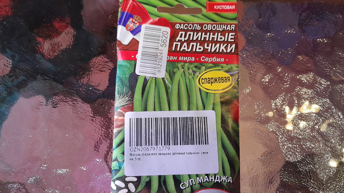 Фасоль спаржевая. Огород на окне.