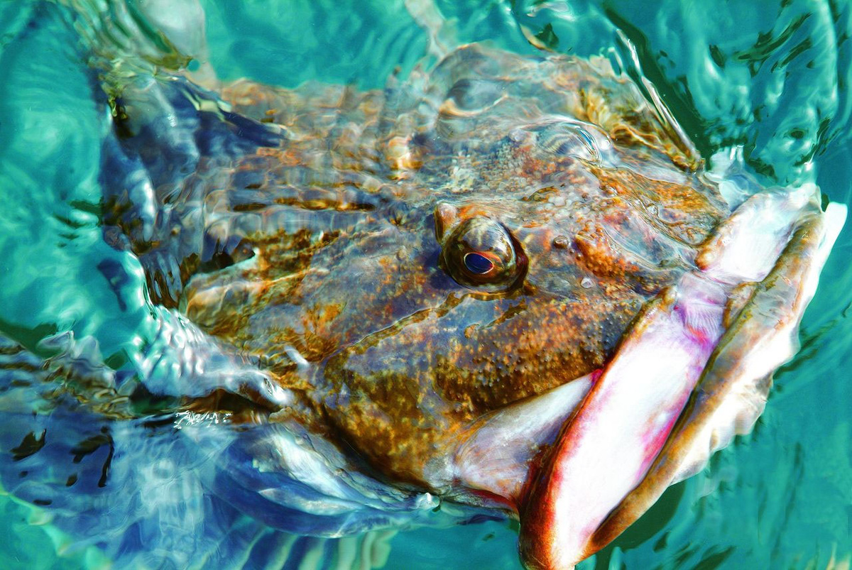 Фото: Сергей Халанский