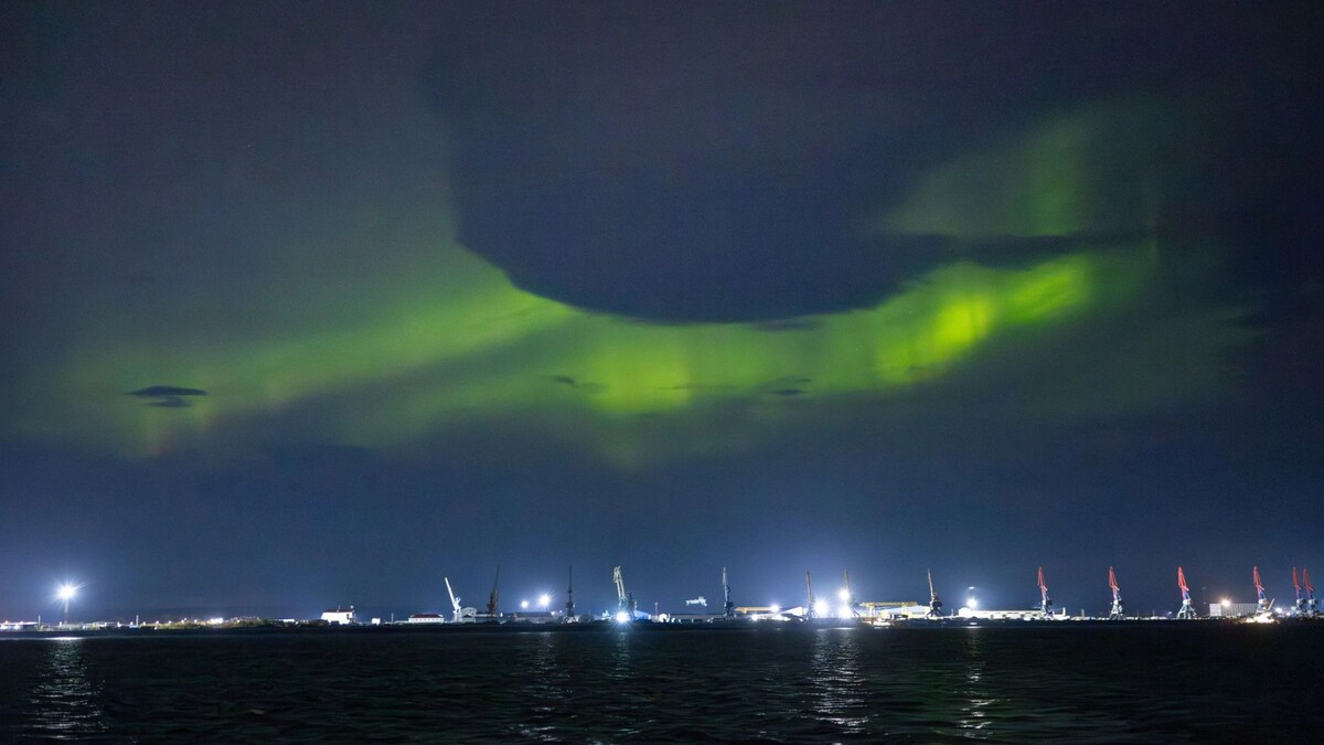    Фото: Фёдор Воронов/АНО «Ямал-Медиа»