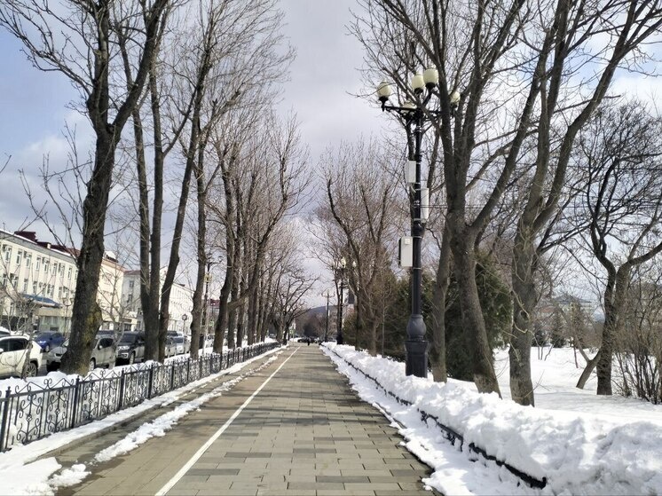    Фото: МК на Сахалине