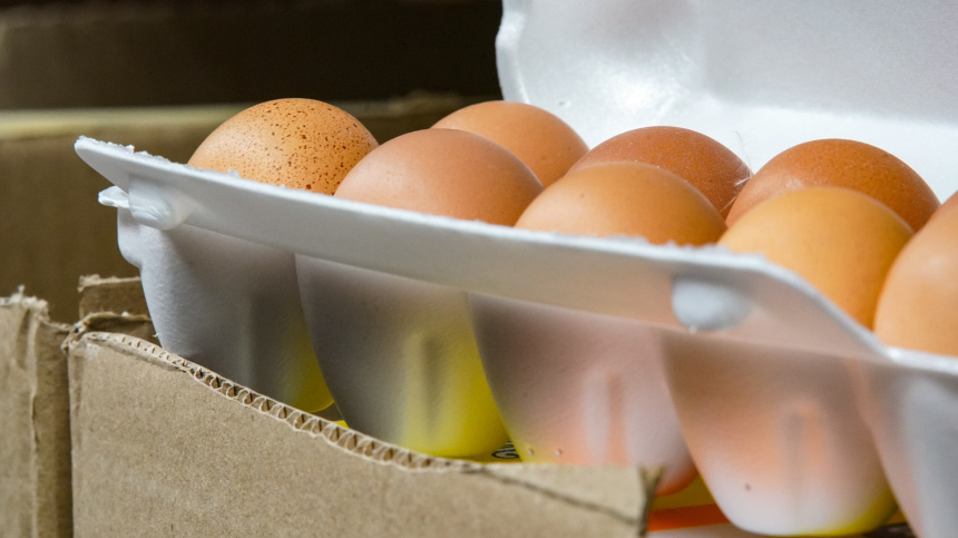    Фото: ИЗВЕСТИЯ/Сергей Лантюхов