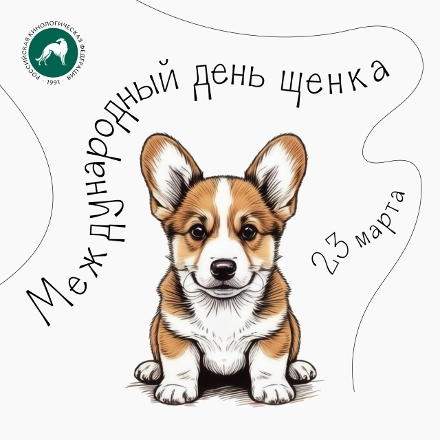 Фото из открытого источника.