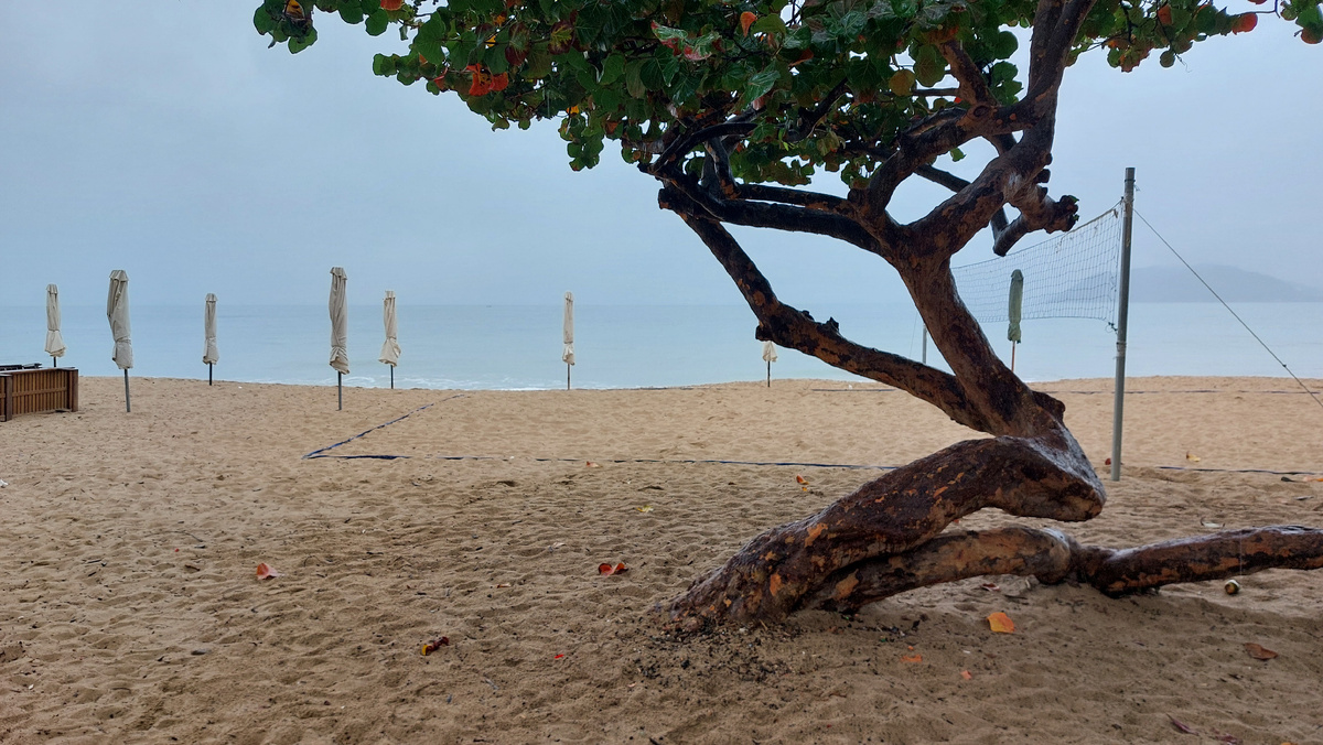 Тот случай, когда зонтики под дождём не открывают