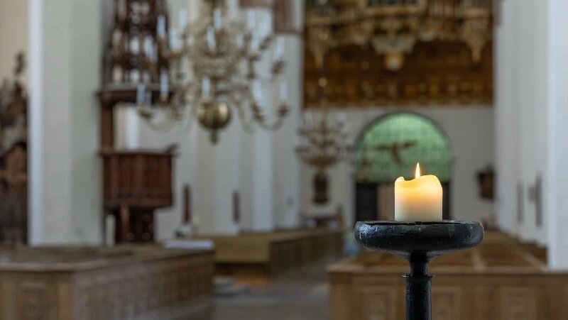      Фото: @pvproductions / ru.freepik.com