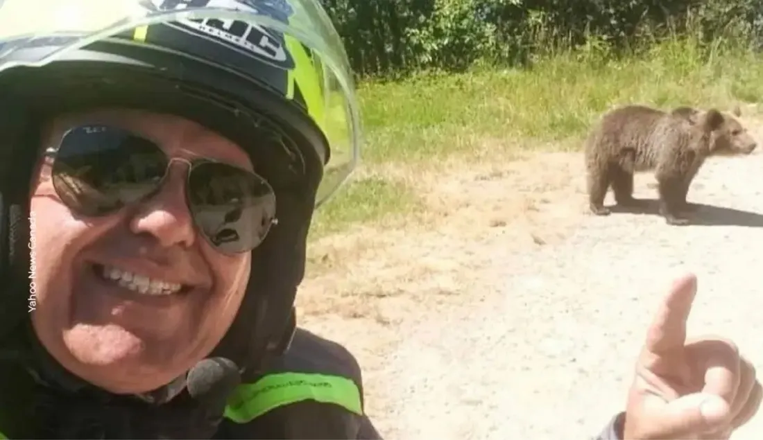 Посмотрите на этого медведя — «Клянусь Богом, если вы меня хоть раз сфотографируете…